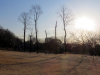 sIMG_0078.jpg